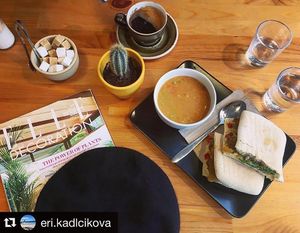 Soup deal (all soups vegan) with Falafel Panini at Chapter One Coffee Shop in Edinburgh