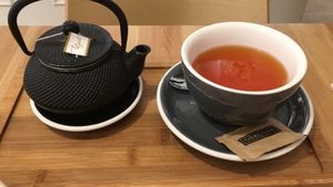 Rooibos  at Odacova in Barcelona