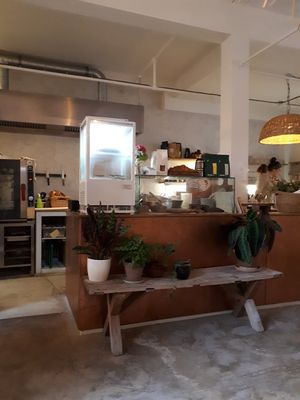 Inside at Plenty in The Hague