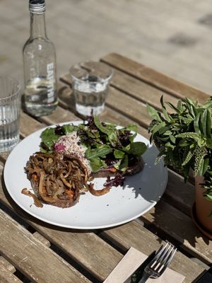   at Plenty in The Hague