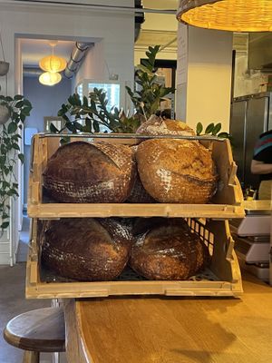   at Plenty in The Hague