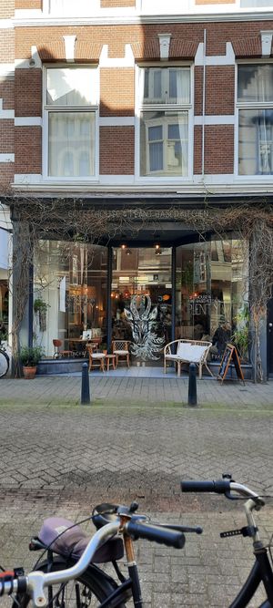  at Plenty in The Hague