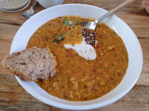 Dhal at Plenty in The Hague
