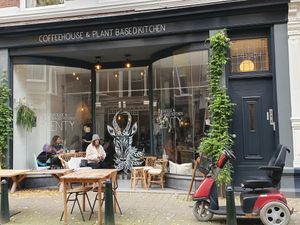 Exterior at Plenty in The Hague