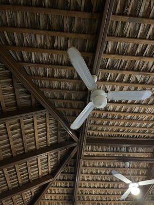  #Veganuary at Cafe Ole in Loreto