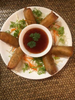 why nam spring rolls  at Way Nam in Koh Phangan