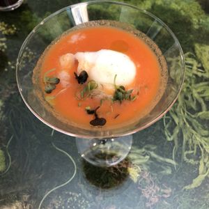 Delicious highlights from the Madrid Vegan Walking Tour:  gazspacho.  at Madrid Vegan Tours in Madrid