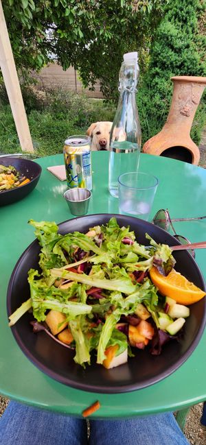 Lovely dog friendly garden. Yummy SOS dish. at Terra Veg in Klamath Falls