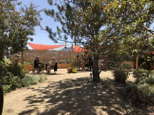 Tranquil outdoor seating respecting Covid distancing guidelines at Terra Veg in Klamath Falls
