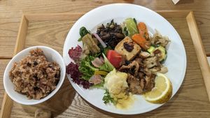 Mixed plate and rice at Shoji Cafe Sora in Takamatsu