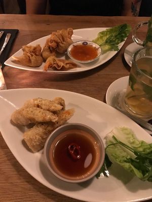 Vegan spring rolls and vegan wan tan  at Madame Tâm City in Aachen