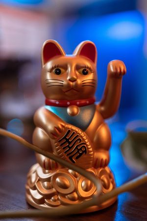 our new place on Dostoevskogo, 13 at Healthy Conscience in St Petersburg