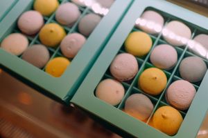 our new place on Dostoevskogo, 13 at Healthy Conscience in St Petersburg