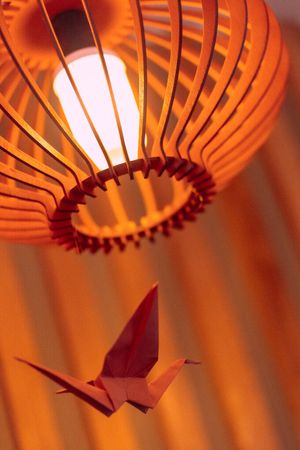 our new place on Dostoevskogo, 13 at Healthy Conscience in St Petersburg