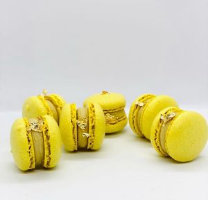 macaroni at Healthy Conscience in St Petersburg