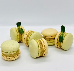 macaroni at Healthy Conscience in St Petersburg