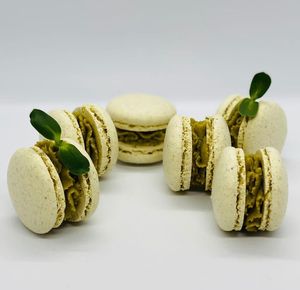 macaroni at Healthy Conscience in St Petersburg