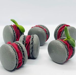 macaroni at Healthy Conscience in St Petersburg