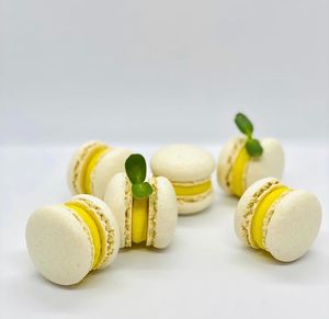 macaroni at Healthy Conscience in St Petersburg