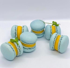 macaroni at Healthy Conscience in St Petersburg