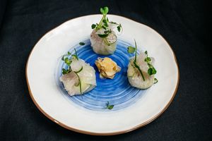 Gentle at Healthy Conscience in St Petersburg