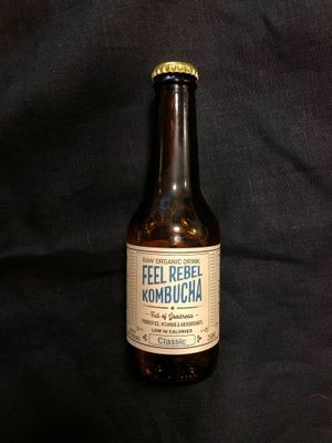 kombucha at Healthy Conscience in St Petersburg