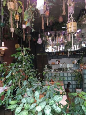 grun at GRÜN in St Petersburg