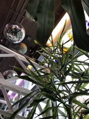 Lovely interior  at GRÜN in St Petersburg