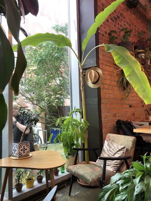 Cozy atmosphere  at GRÜN in St Petersburg