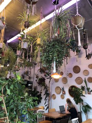 interior‘s so nice! at GRÜN in St Petersburg