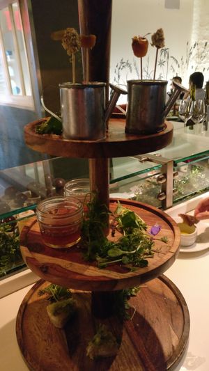 First course at Dirt Candy in New York City