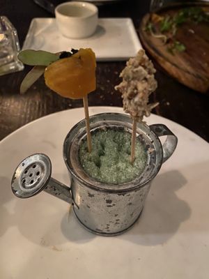 Full tasting menu at Dirt Candy in New York City