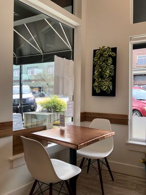 Inside  at Plantitude in Ladysmith