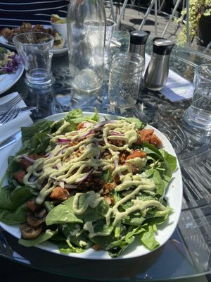   at Plantitude in Ladysmith