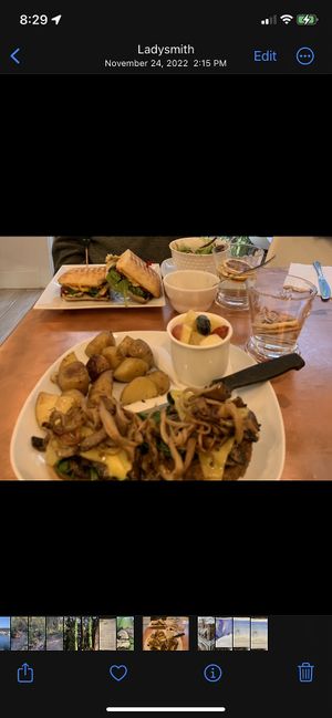   at Plantitude in Ladysmith