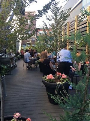 Patio on a beautiful evening  at Plantitude in Ladysmith