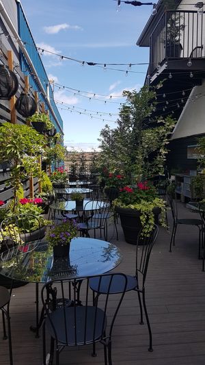 Patio area at Plantitude in Ladysmith