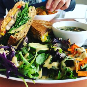 Yummy at Plantitude in Ladysmith