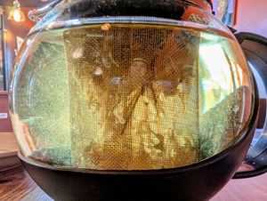 Hot Tea: Fairy Flower (after steeping) at High Note Cafe in Boise