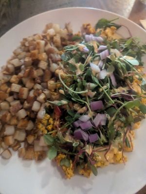  at High Note Cafe in Boise