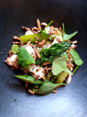 Main course at 't Vijfde Seizoen in Aalter