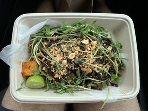 Forbidden black rice noodles. It was a bit underwhelming- too oily, and bland   at Verdine in Houston