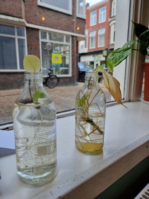 .... at Lust in Groningen