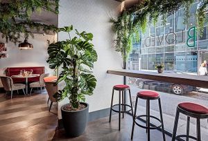 BLoved Veggie Corner at BLoved Veggie Corner in Madrid