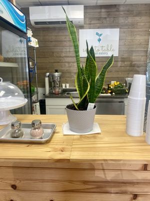 The counter   at Seed to Table Vegan Eatery in Venice