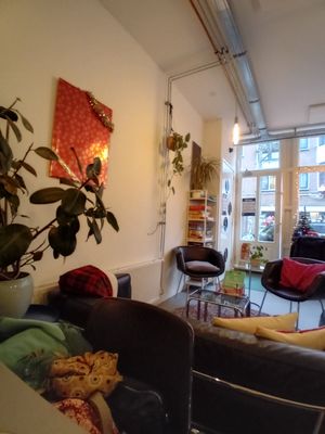 Cozy vibe at Haley's Comet Breakfast Club in The Hague