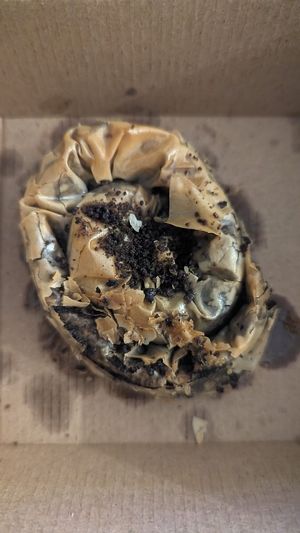 Oreo Baklava at Kevabs in Brunswick