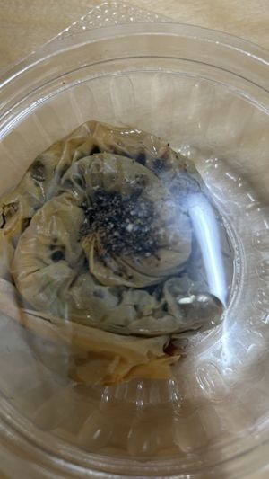 Oreo baklava   at Kevabs in Brunswick