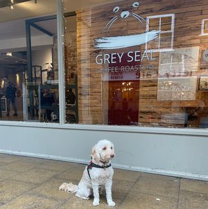 Front  at Grey Seal Coffee in Cromer