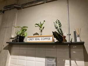 Plant based. Coffee. Plants #Veganuary at Grey Seal Coffee in Cromer